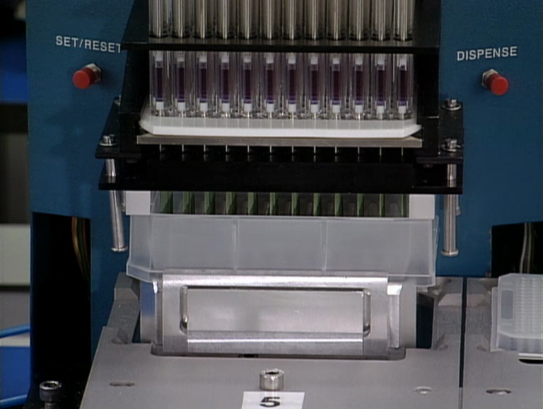 Das Humangenom-Projekt