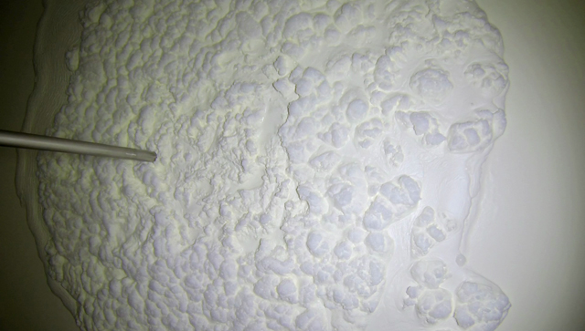 Milch und Milchprodukte